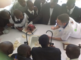 Students see what a real (goat) brain looks like